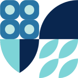 Development and Launch Icon